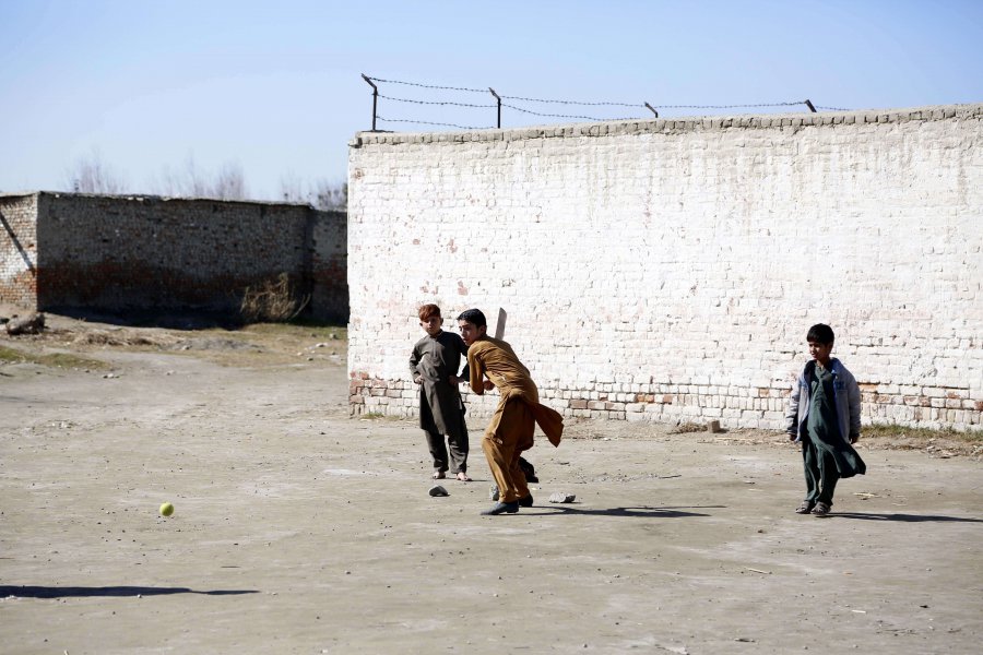 cricket afghanistan
